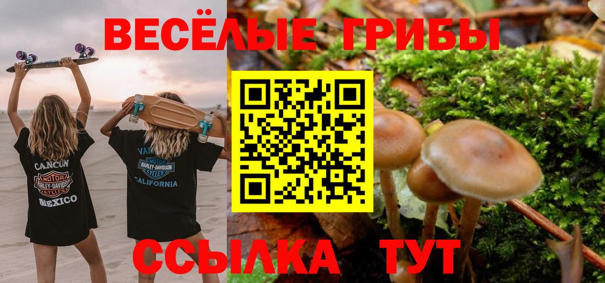 наркошоп  Псилоцибиновые грибы ЛСД  Вход с VPN  Кропоткин 